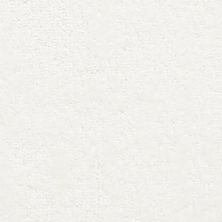 Fabrica Belcarra Bald Eagle 151BL-711BL