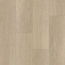 Dixie Home Trucor® Boardwalk in Belmar Ash P1046-D2905