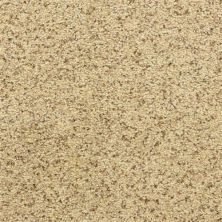 Dixie Home Leigh Way Oatmeal Raisin D021-80181