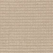 Masland Defined Grain 9717-737