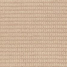 Masland Defined Nectar 9717-732