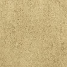 Fabrica Desert Vista Cabin 451DV-751DV