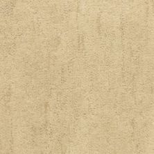 Fabrica Desert Vista Fresno 451DV-778DV