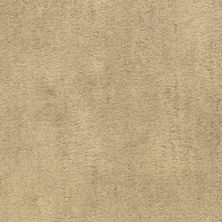 Fabrica Desert Vista Terrain 451DV-868DV