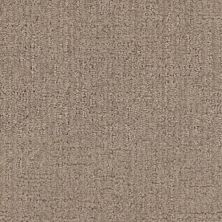 Masland Distinctive Driftwood 9718-768