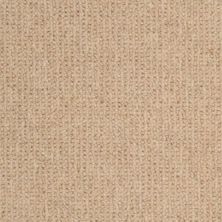 Masland Dublin Flanagan 9242-501