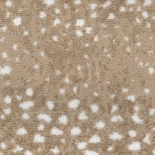 Fabrica Habitat Serengeti 920HB-771HB