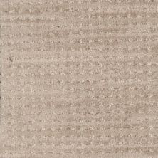 Masland Imagine Flair 9699-732