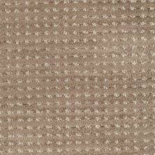 Masland Imagine Spirited 9699-757