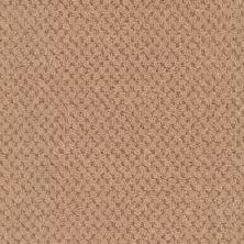 Masland La Parade Terra Cotta 9716-257