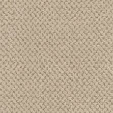 Masland La Parade Truffle 9716-738