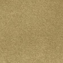 Fabrica Madonna Maverick 222MD-877MD