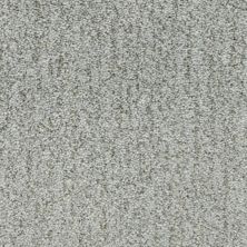 Fabrica Monterey Cypress 806MY-635MY