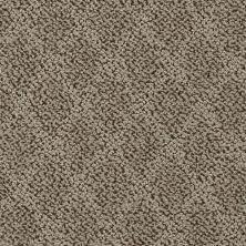 Dixie Home Fine Art Museum D051-72043