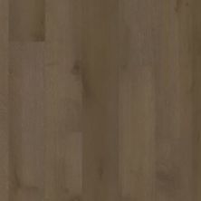 Dixie Home Trucor® 3dp Collection in Henna Oak P1043-D7380