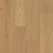 Dixie Home Colonial Cambridge P1048-D7005