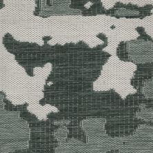 Masland Santa Cruz Grove 9137-686