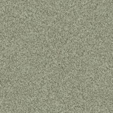 Masland Santa Rosa Organic 9713-656