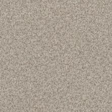 Masland Santa Rosa Weathered Deck 9713-829