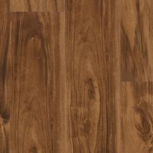 Trucor Alpha Collection Spice Accacia P1030-D8007