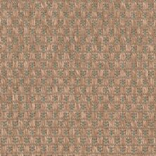 Masland Trinidad Surfside 9130-655