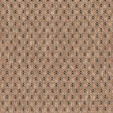 Masland Trinidad Nightfall 9130-999