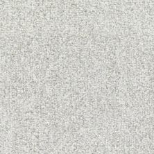 Fabrica Tundra in Snowbird 825TU-929TU