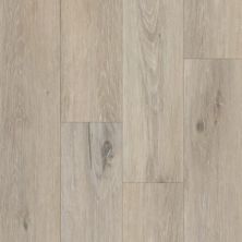 Dixie Home Trucor® Boardwalk in Wildwood Oak P1046-D3708