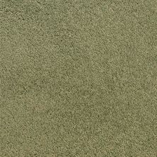 Fabrica Denali Rain Forest 210DN-RainForest