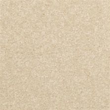 Dixie Home Inspiring Inland 2302-27312
