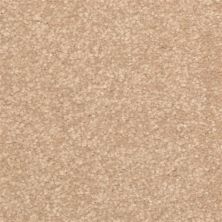 Dixie Home Inspiring Inland 2302-27334