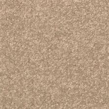 Dixie Home Inspiring Intensity 2302-37305