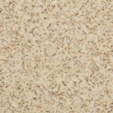 Dixie Home Innovations Hushed 2352-11129