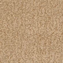 Dixie Home Innovations Hot Toddy 2352-76315