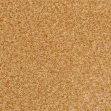 Dixie Home Innovations Hot Toddy 2352-96903