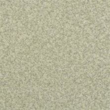 Dixie Home Semitones Ray 2358-53530