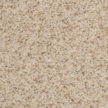 Dixie Home Semitones Richmond Bisque 2358-81825