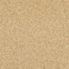 Dixie Home Chromatic Touch Champagne 2368-23402
