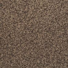Dixie Home Chromatic Touch Champagne 2368-89824