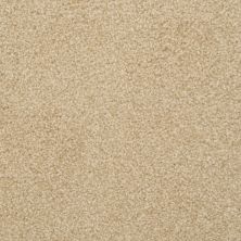 Dixie Home Alluring Adonis 2454-25190