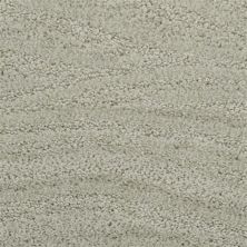 Dixie Home Taittinger Taffy 2608-55577