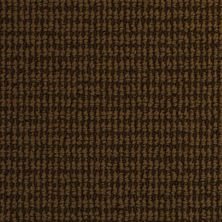 Dixie Home Nature’s Field Jungle Canopy 2961-56104