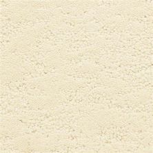 Fabrica Phenomena Exceptional 331PH-727