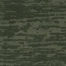 Fabrica Stratus Forrest 335SS-Forrest