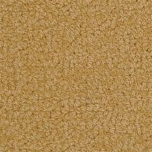 Fabrica Savant Newport 528SA-Newport