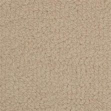 Fabrica Savant Burton 528SA-Burton