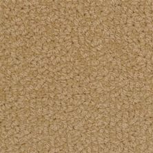 Fabrica Savant Savage 528SA-Savage