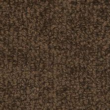Fabrica Savant Peek 528SA-Peek