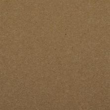 Dixie Home Spellbinding Sashay 5314-17502