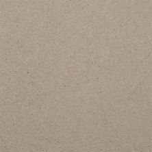 Dixie Home Spellbinding Sand Dollar 5314-7509